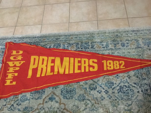 1982 DGWPFL Premiers - Panthers